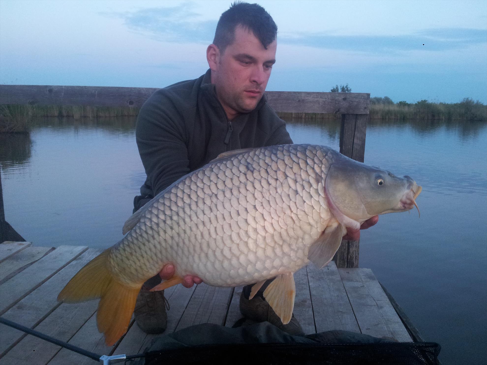 0HAT 3 2016 - 20160428195014---copy.jpg